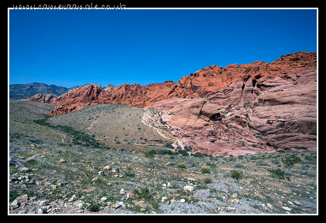 Red Rock Canyon
