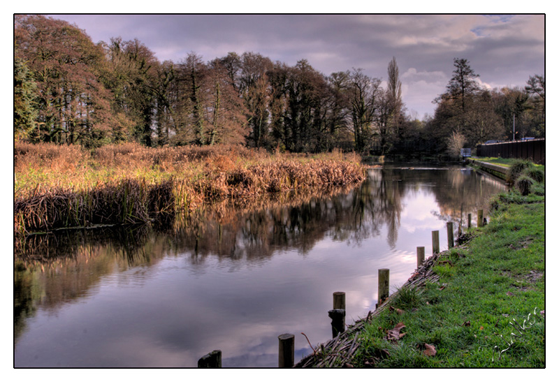 River Bank
A river in Winchester
Keywords: Winchester River