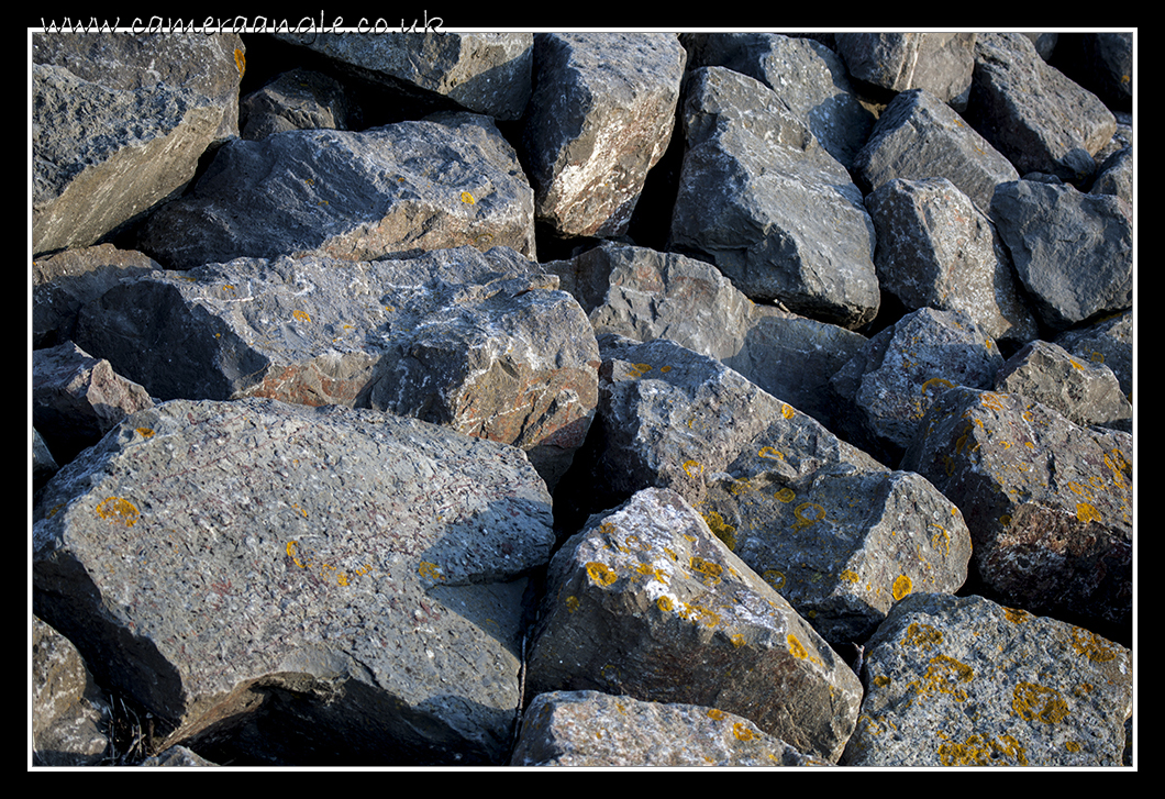 Sea Defence
