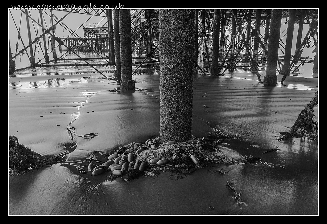 Rotting
South Parade Pier Southsea
