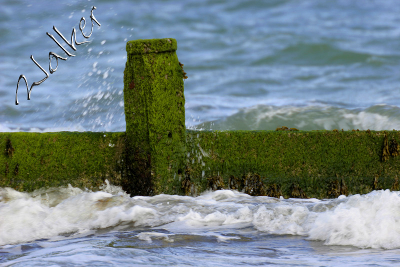 Sea Groyne
Hayling Sea Groyne
Keywords: Hayling Sea Groyne