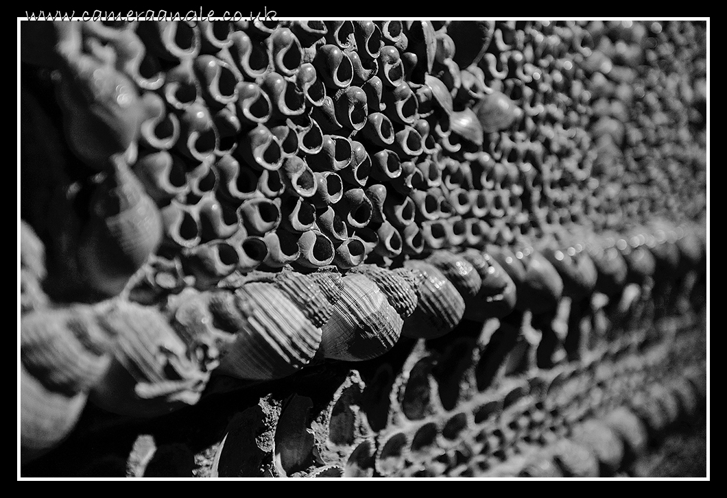 Shell Grotto
Shell Grotto
