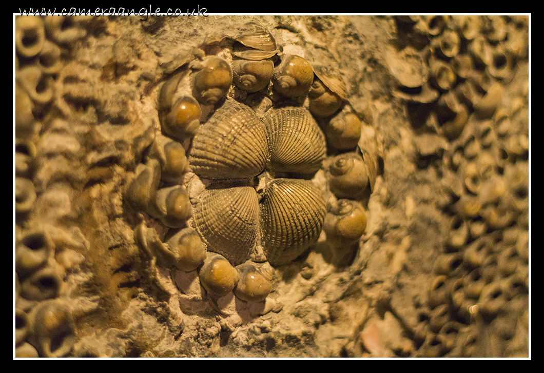 Shell Grotto
Shell Grotto
