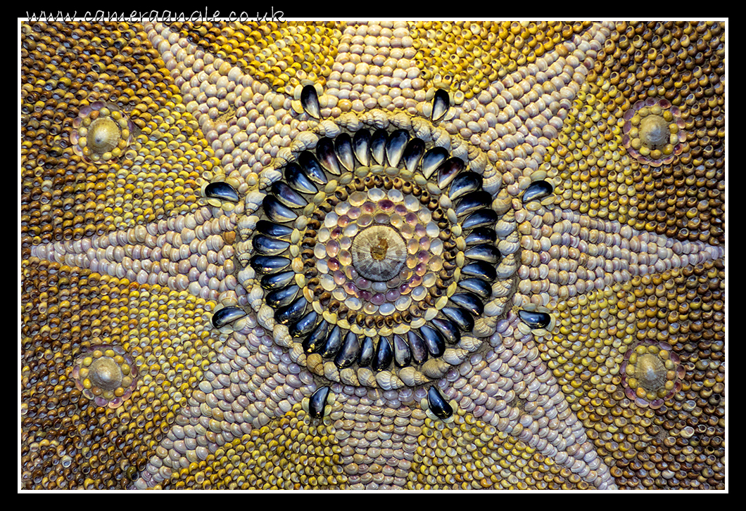 Star
Shell Grotto Margate
