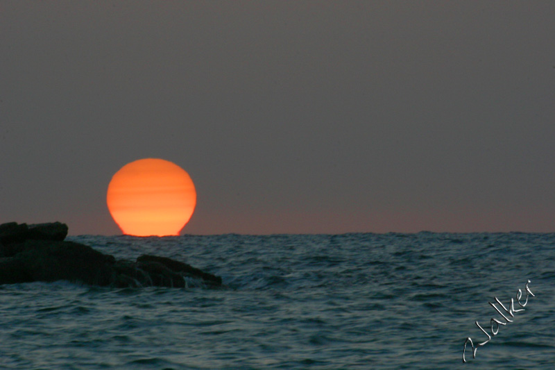 Tel Aviv Sunset
The sun sets over the beach at Tel Aviv, Israel
Keywords: Tel Aviv Israel Beach Sunset