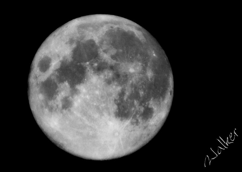 The Moon
The moon (15th November 2005) taken with Helios 3" reflecting telescope using a telescope adapter for my camera.
Keywords: Moon