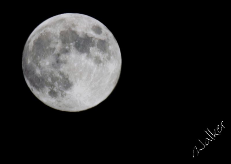 The Moon
The moon (15th November 2005) taken with a 400mm Sigma lens at max zoom.
Keywords: Moon