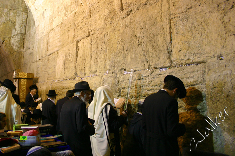West Wall Prayer
Jewish men pray at the West Wall (Wailing Wall) in Jerusalem, Israel.
Keywords: Jerusalem Israel West Wall Wailing