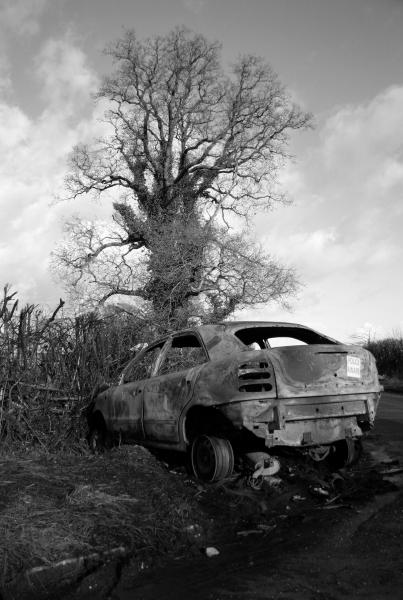 Wreck
A magnificant tree overshadows a burnt out car.
Keywords: Wreck