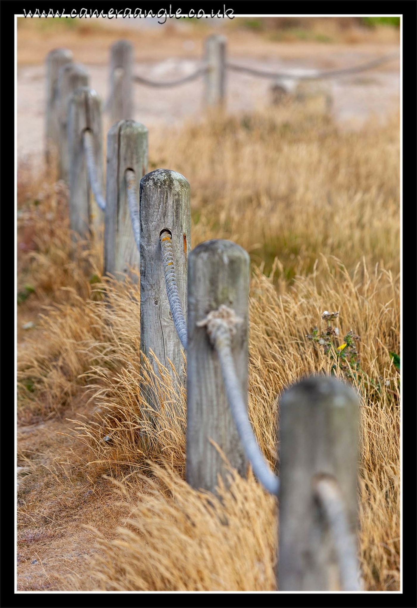 Fence
Keywords: Portland Bill Fence