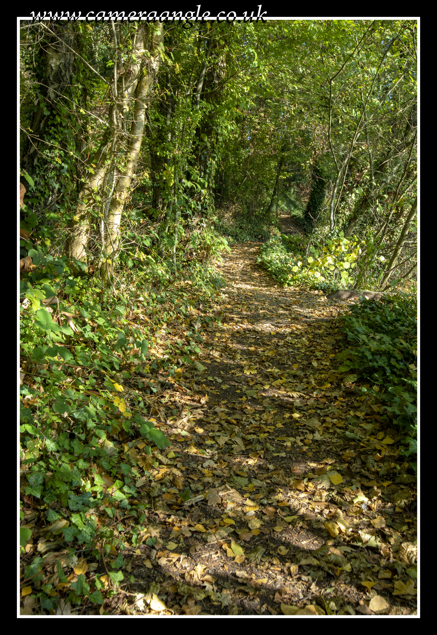 Golden Path
Keywords: NATS Nature Park