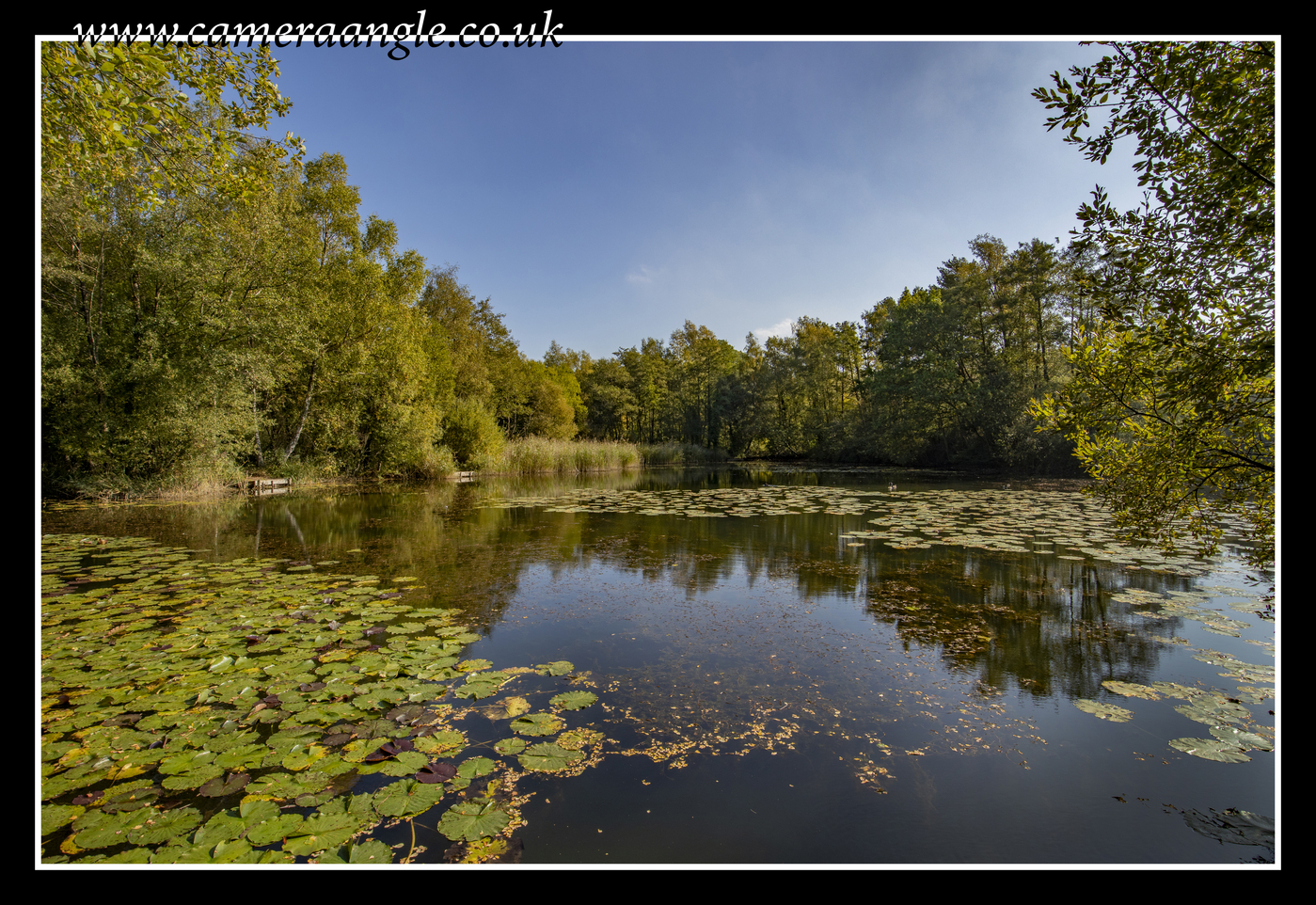 Reflection
Keywords: NATS Nature Park