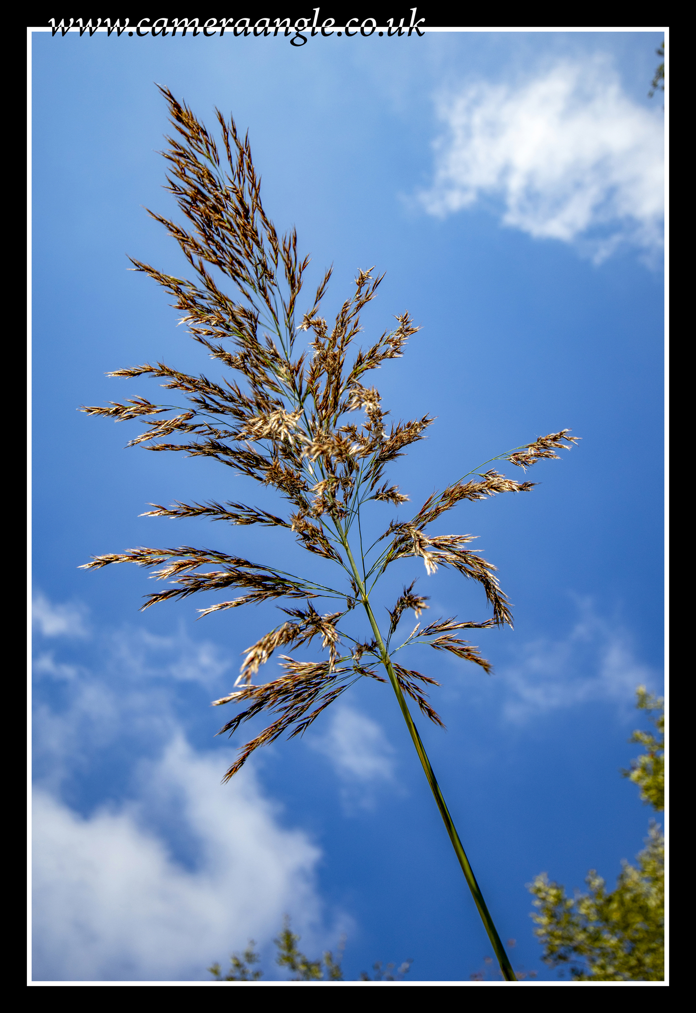 Summer
Keywords: NATS Nature Park