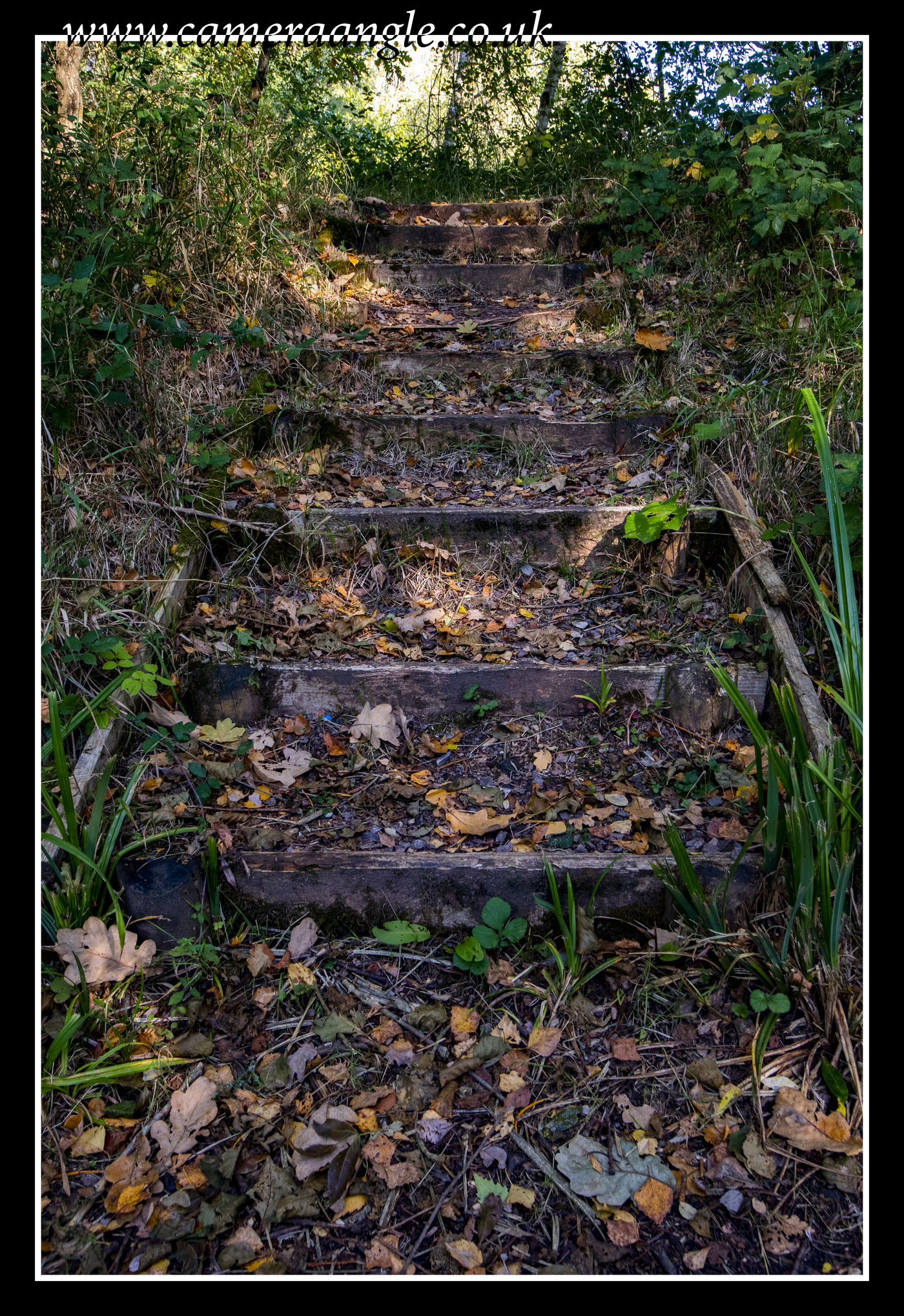 Stairway
Keywords: NATS Nature Park