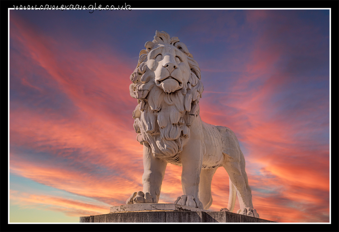 LION
Totally not abusing the new Photoshop Sky replacement feature :)
Keywords: London 2022 LION