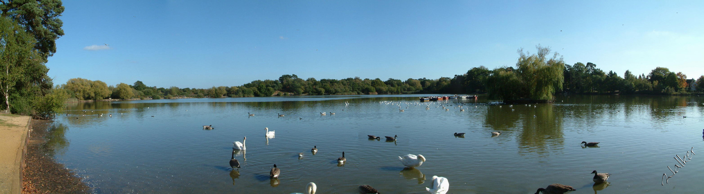 Petersfield Lake
Petersfield Lake
Keywords: Petersfield Lake