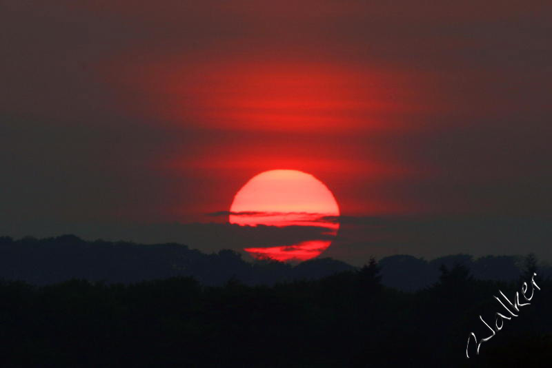 May Sunset
Sunset over the back of Portsdown hill on a May evening
