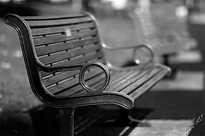 Benches.jpg