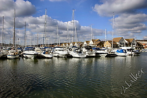 Boats2 (2).jpg