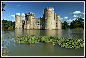 Bodium_Castle_Lilly_Pads.jpg