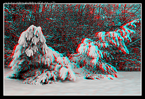 Fallen_Tree_3D.jpg