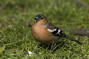 IMG_3225.jpg