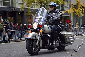 Filename=NewYorkCop.jpg
Filesize=125KiB
Dimensions=800x533
Date added=Nov 14, 2005 NewYorkCop.jpg