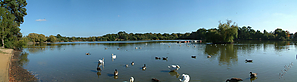 Petersfield Lake Panoramic.jpg