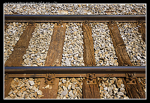 Tracks.jpg