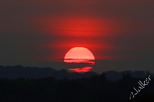 Filename=sunset.jpg
Filesize=47KiB
Dimensions=800x534
Date added=May 15, 2004 sunset.jpg