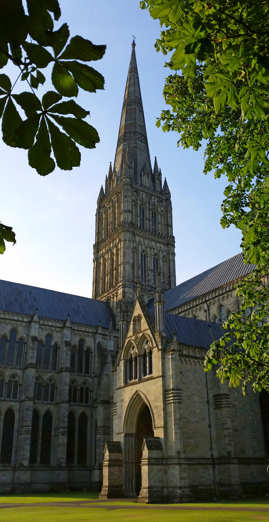 2014-07-18_065529.jpg