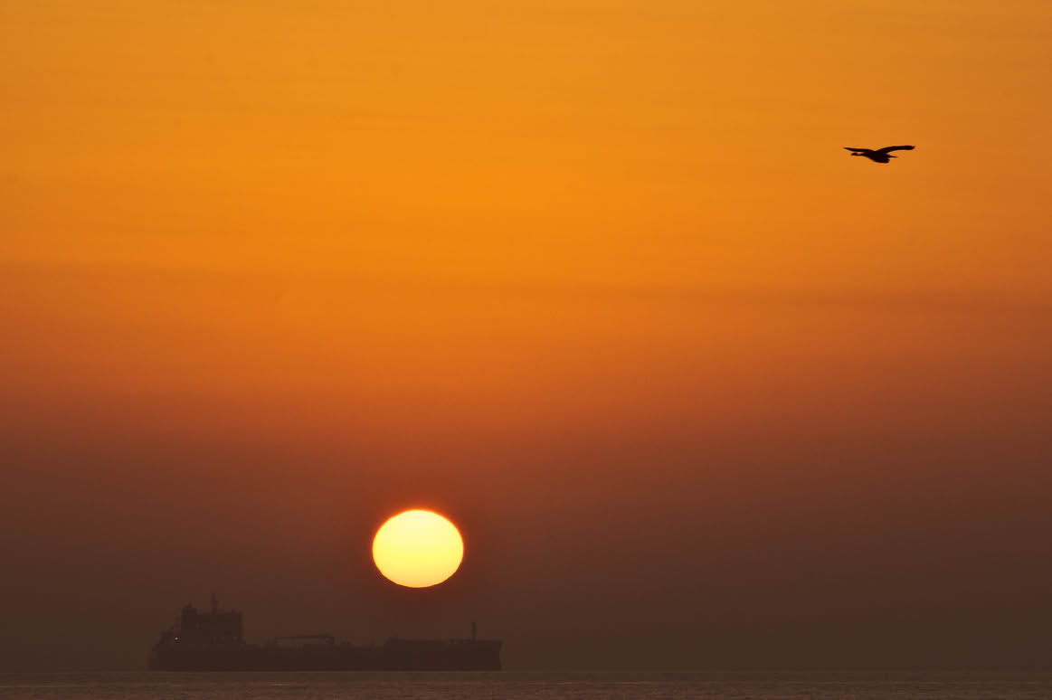 Sunrise
