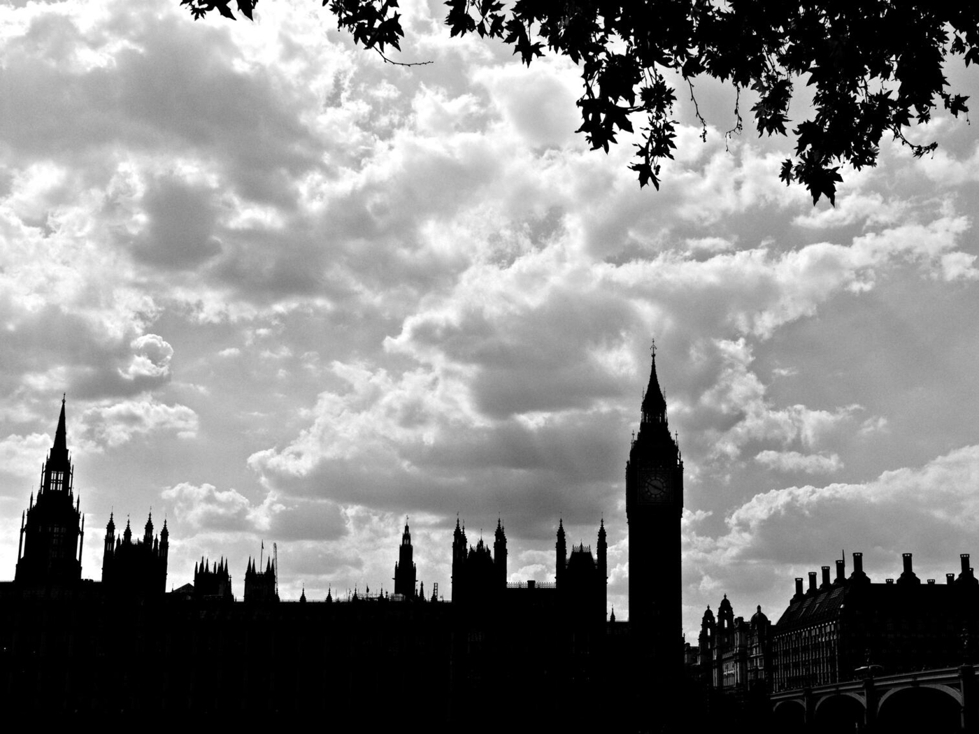 23-06-15_154212_GX9.jpg