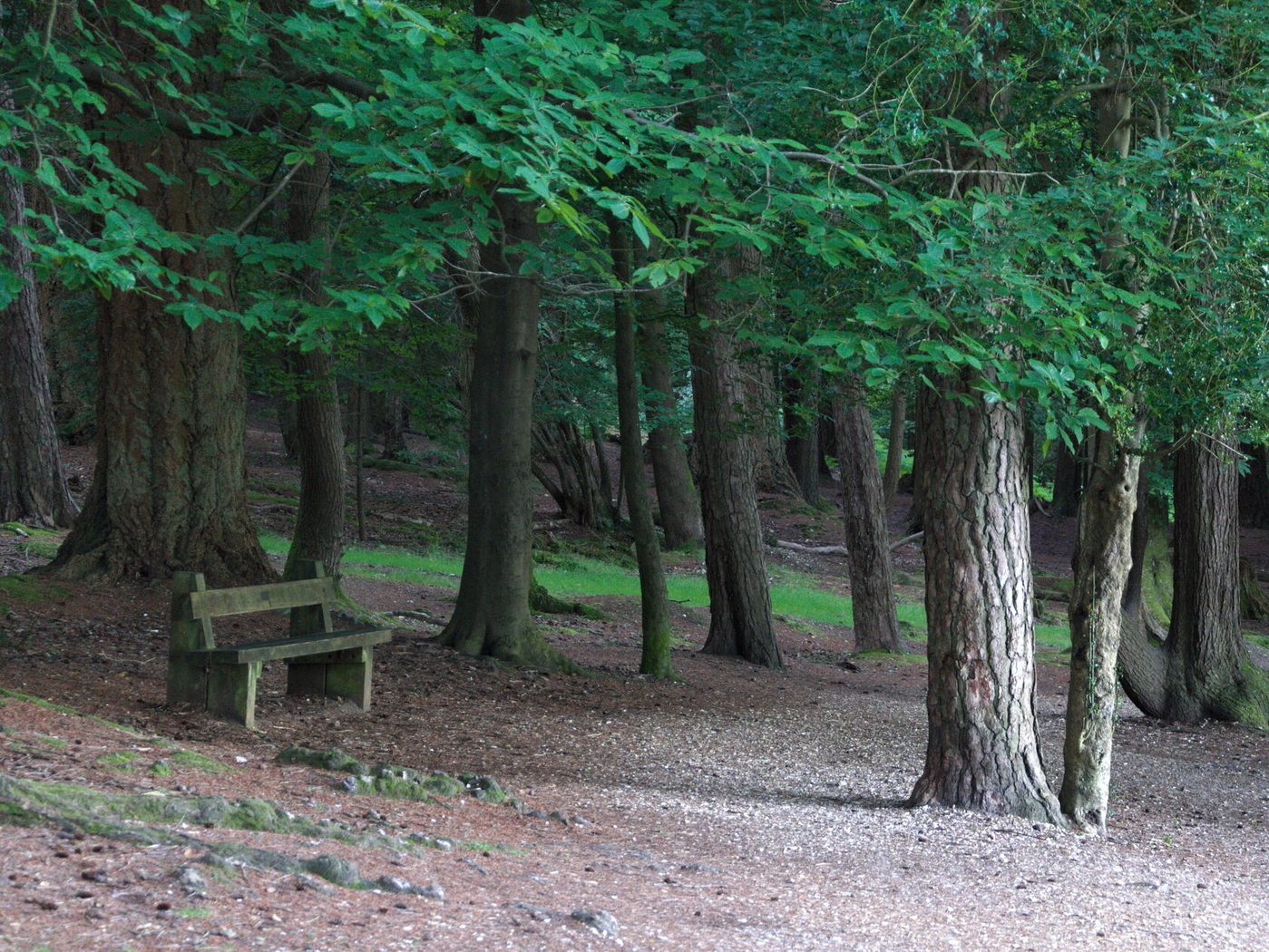 Deer Sanctuary, no deer
