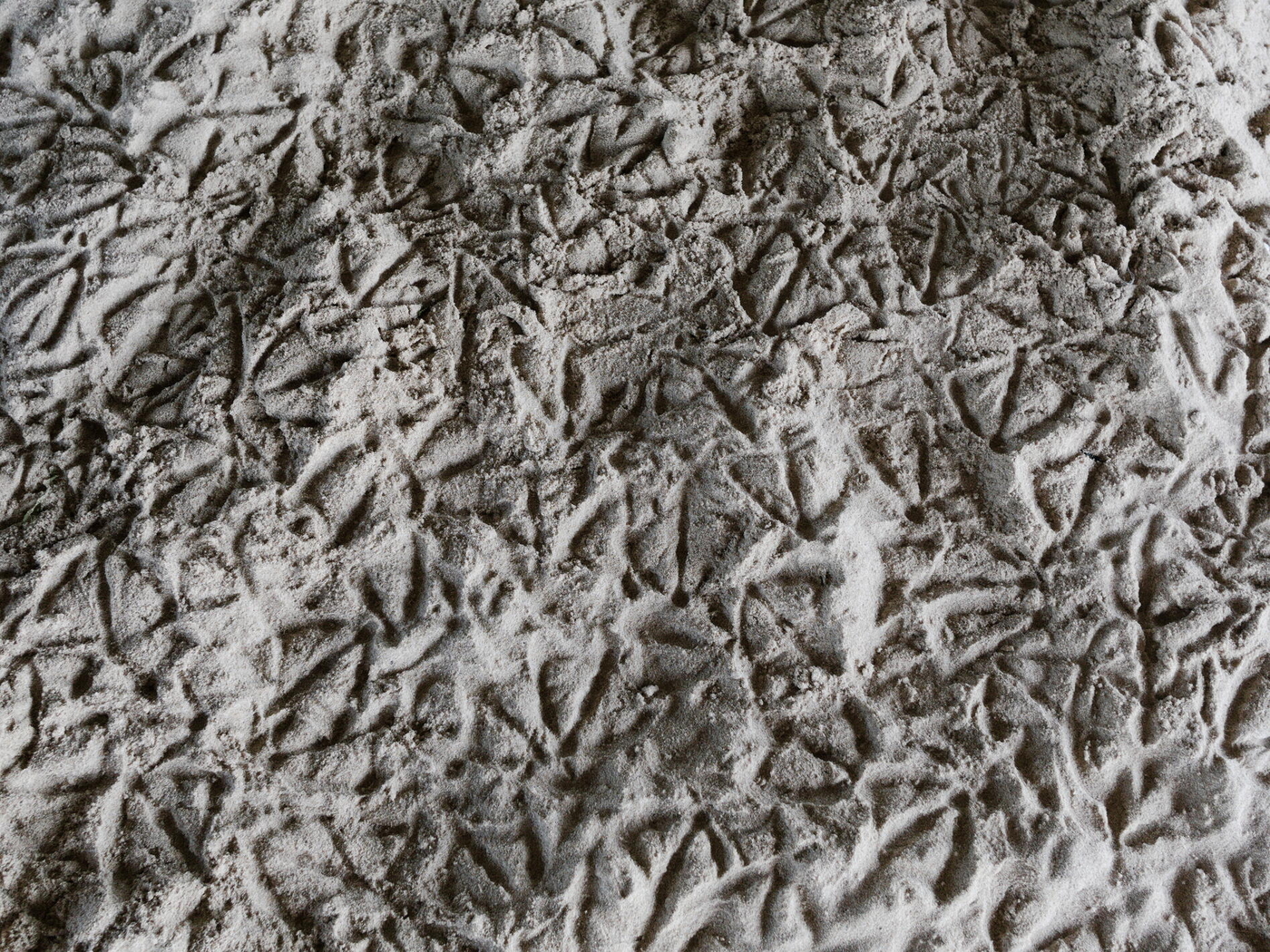 Footprints
