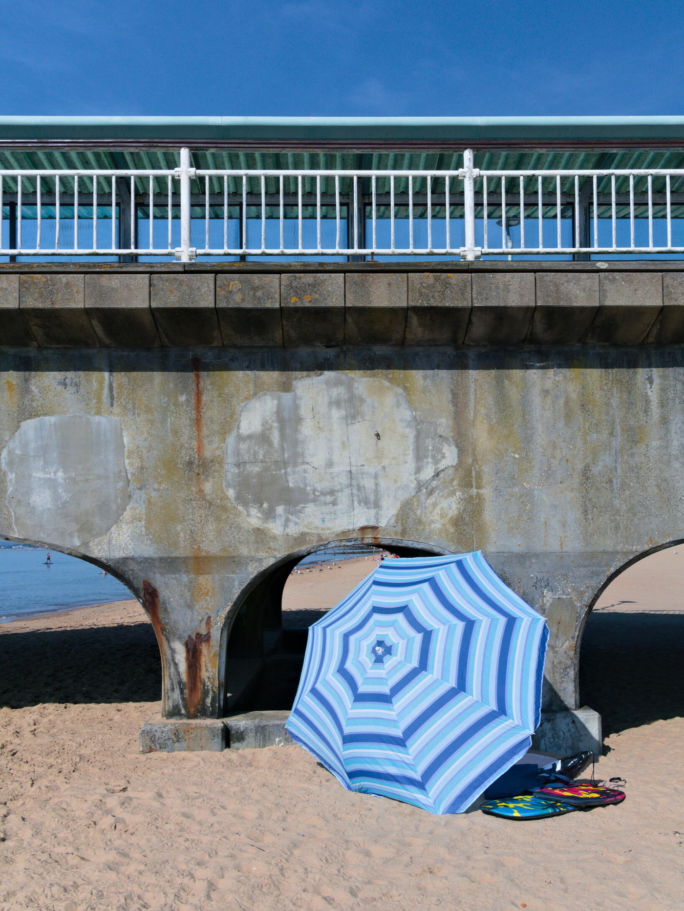 Umbrellipier
