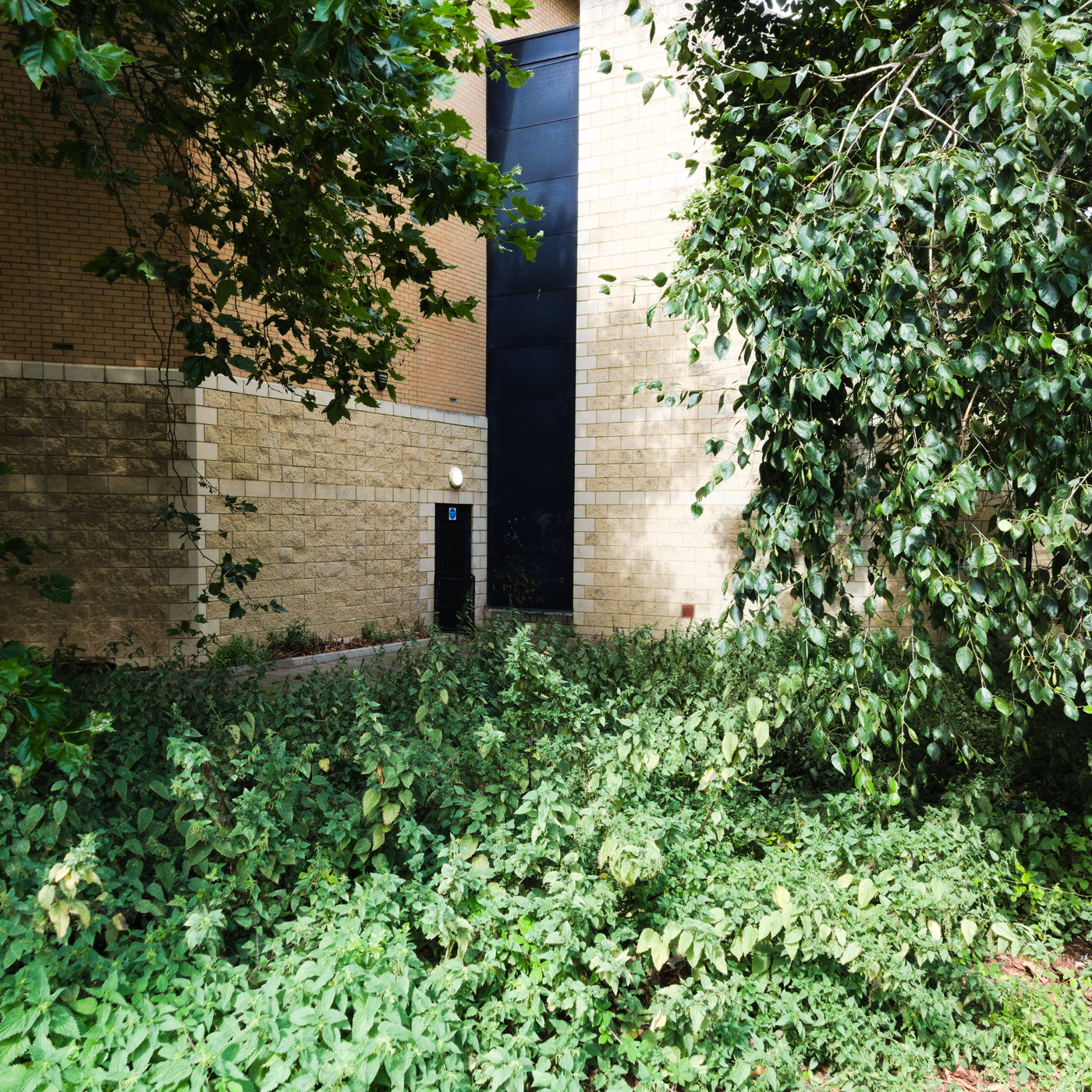 24-08-13_104226_LX7.jpg