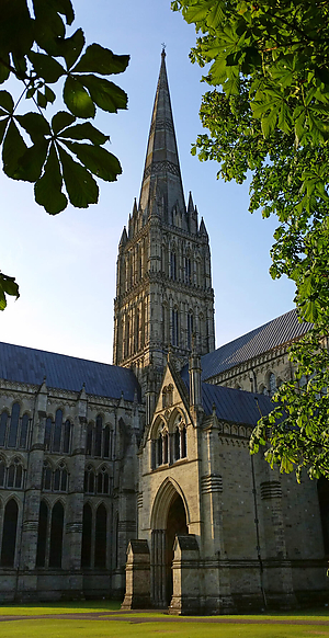 2014-07-18_065529.jpg