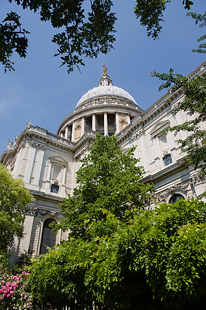 23-06-15_113526_TZ100.jpg