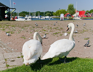 24-07-19_101300_GX9.jpg