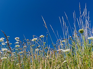 24-07-19_103003_GX9.jpg