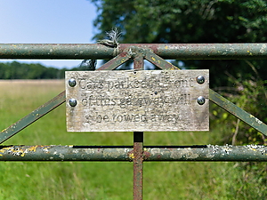 24-07-19_150126_GX9.jpg