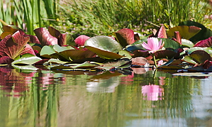 24-07-19_155814_GF1.jpg