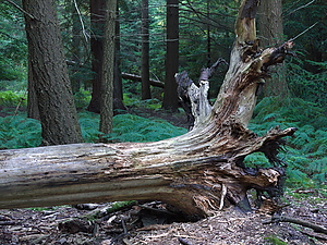 Filename=24-07-19_65400_GF1.jpg
Filesize=512KiB
Dimensions=1683x1263
Date added=Jul 22, 2024 24-07-19_65400_GF1.jpg