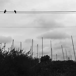24-08-05_81050_LX7.jpg