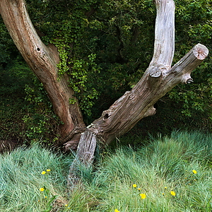 24-08-05_81428_LX7.jpg