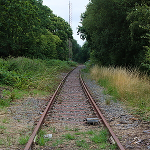 24-08-05_81810_LX7.jpg