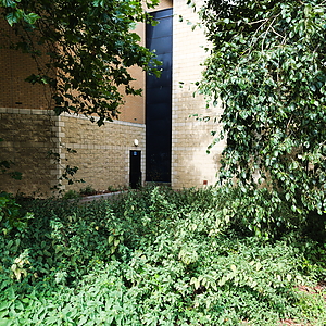 24-08-13_104226_LX7.jpg
